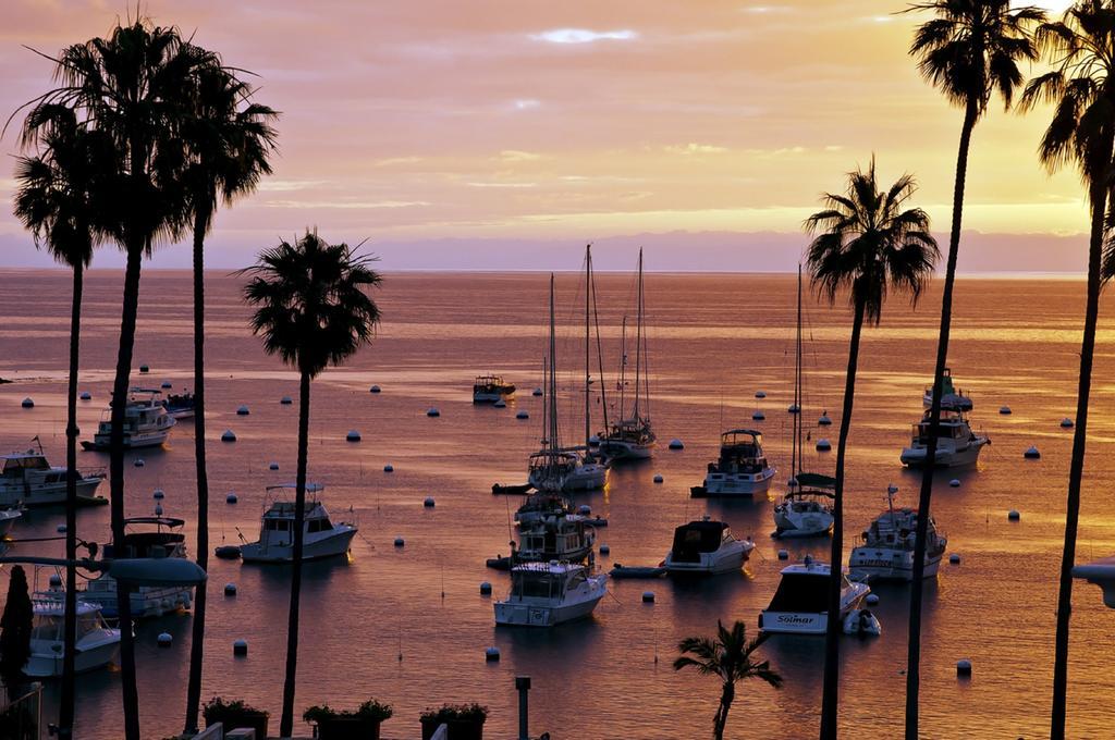 The Avalon Hotel In Catalina Island Exterior photo